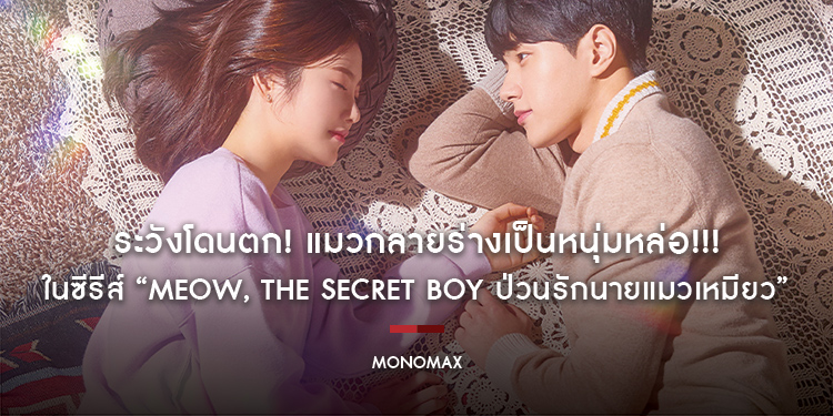 ระวังโดนตก! แมวกลายร่างเป็นหนุ่มหล่อ!!! ในซีรีส์ “Meow, the Secret Boy ป่วนรักนายแมวเหมียว”